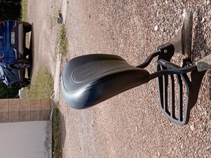 HARLEY-DAVIDSON SOFTAIL CROSS BONES 1584 4