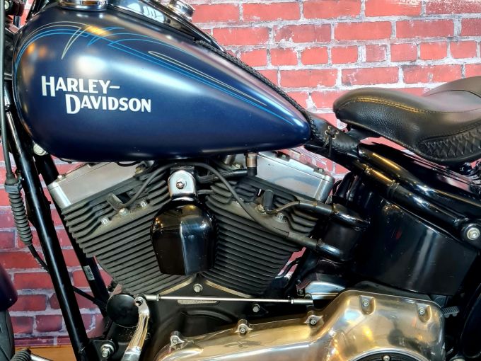HARLEY-DAVIDSON SOFTAIL CROSS BONES 1584 4