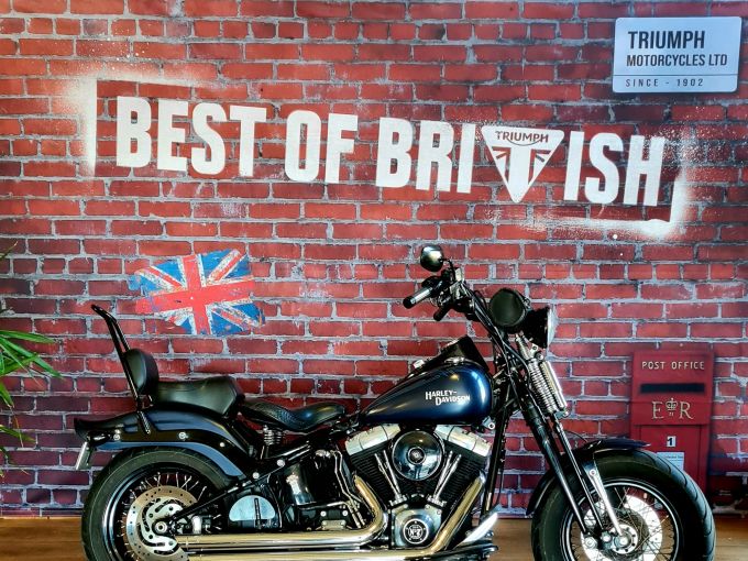 HARLEY-DAVIDSON SOFTAIL CROSS BONES 1584 4
