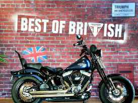 HARLEY-DAVIDSON SOFTAIL CROSS BONES 1584 - 2008