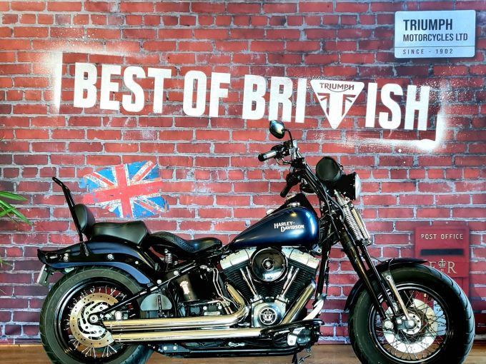 HARLEY-DAVIDSON SOFTAIL CROSS BONES 1584 4