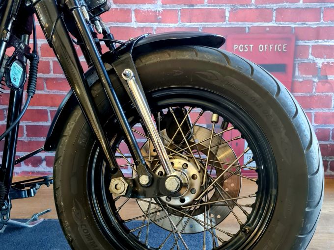 HARLEY-DAVIDSON SOFTAIL CROSS BONES 1584 4