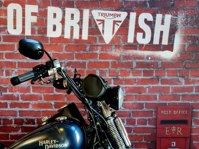 HARLEY-DAVIDSON SOFTAIL CROSS BONES 1584 4