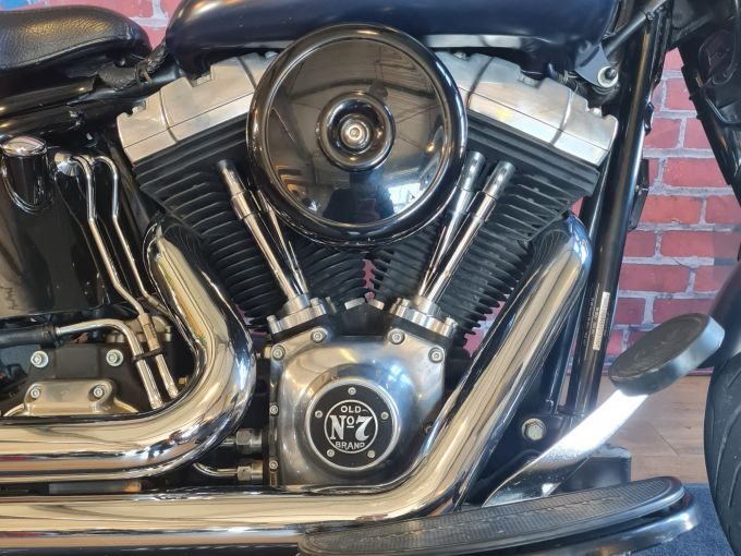 HARLEY-DAVIDSON SOFTAIL CROSS BONES 1584 4