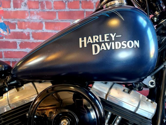 HARLEY-DAVIDSON SOFTAIL CROSS BONES 1584 4