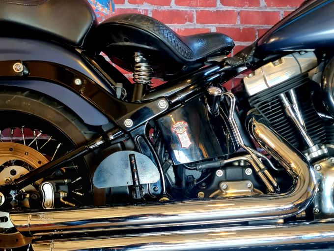 HARLEY-DAVIDSON SOFTAIL CROSS BONES 1584 4