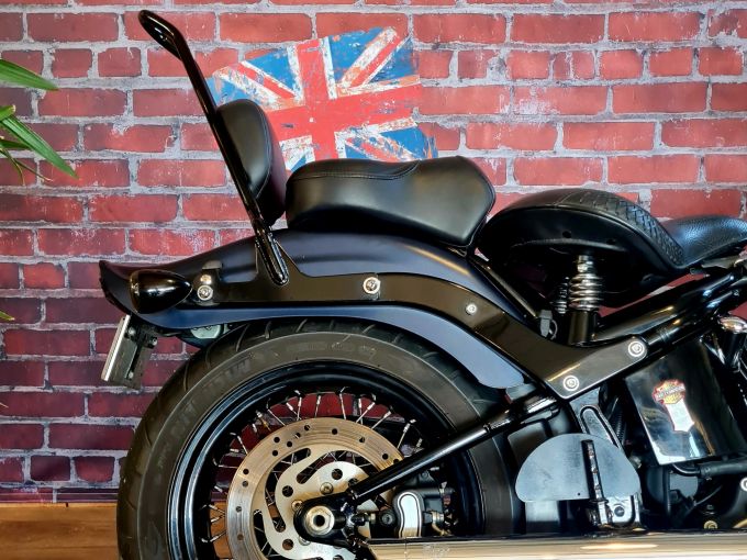 HARLEY-DAVIDSON SOFTAIL CROSS BONES 1584 4