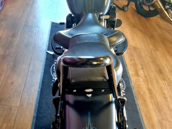 HARLEY-DAVIDSON SOFTAIL CROSS BONES 1584 4