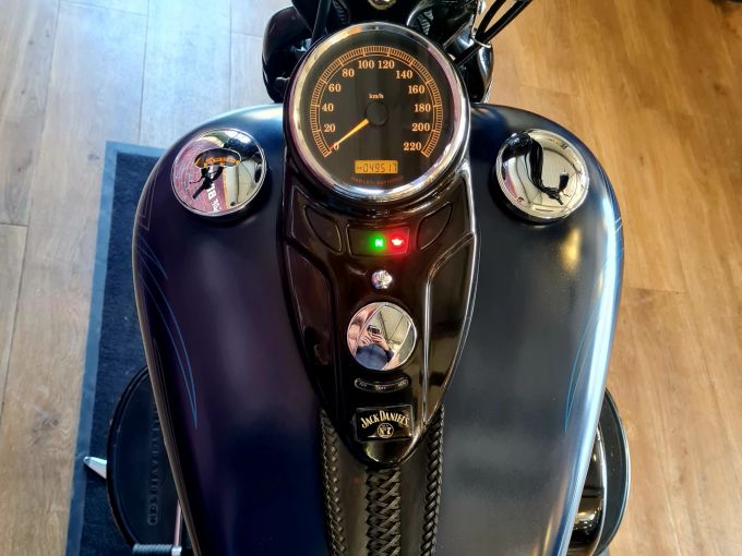 HARLEY-DAVIDSON SOFTAIL CROSS BONES 1584 4