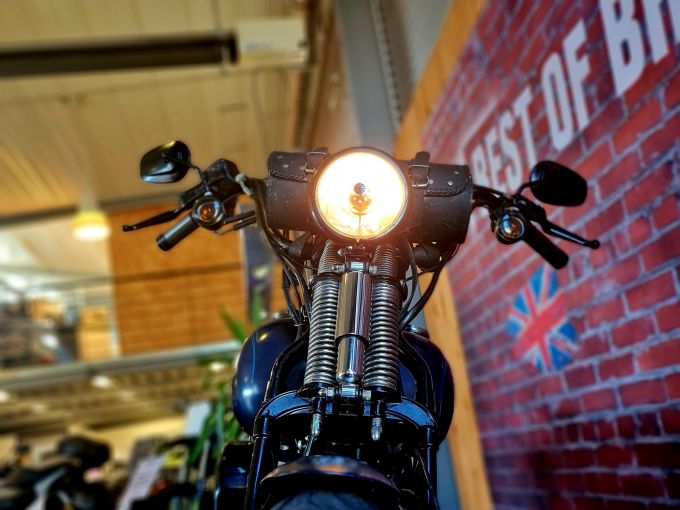 HARLEY-DAVIDSON SOFTAIL CROSS BONES 1584 4