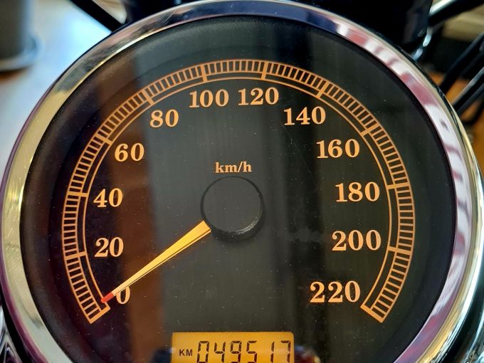 HARLEY-DAVIDSON SOFTAIL CROSS BONES 1584 4