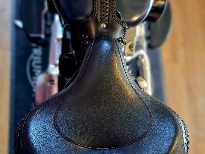 HARLEY-DAVIDSON SOFTAIL CROSS BONES 1584 4