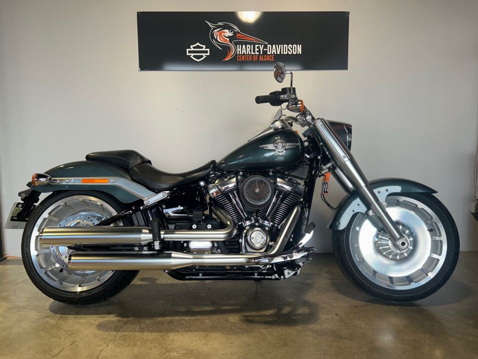 HARLEY-DAVIDSON SOFTAIL FAT BOY 1745 4