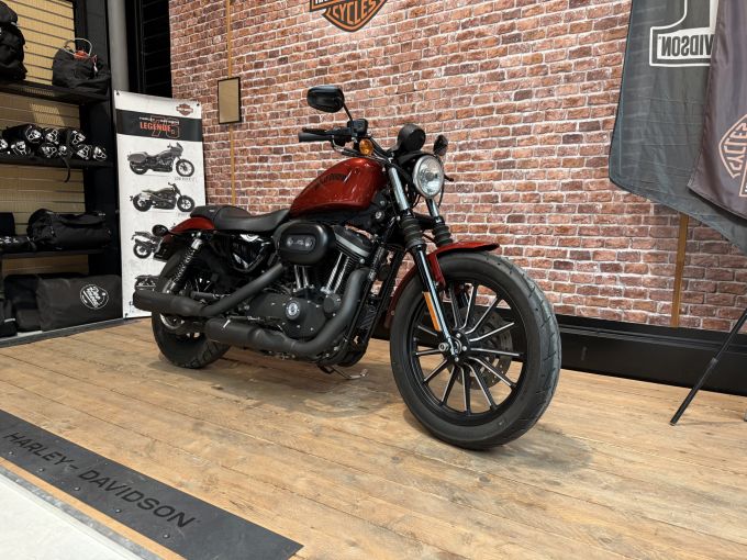 HARLEY-DAVIDSON SPORTSTER IRON 883 4