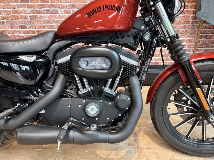 HARLEY-DAVIDSON SPORTSTER IRON 883 4