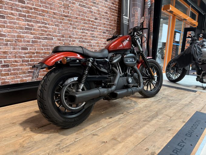 HARLEY-DAVIDSON SPORTSTER IRON 883 4