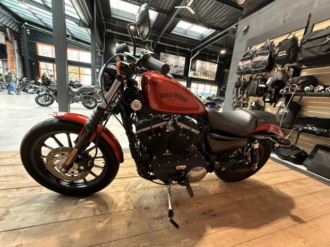 HARLEY-DAVIDSON SPORTSTER IRON 883 4
