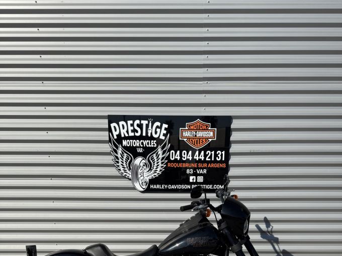 HARLEY-DAVIDSON SOFTAIL LOW RIDER 1868 S 4