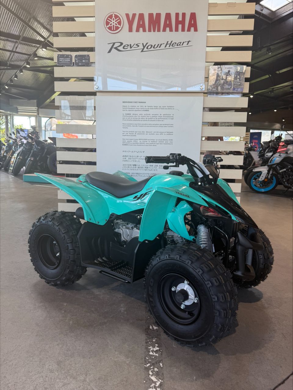 YAMAHA YFM 50 RAPTOR 4