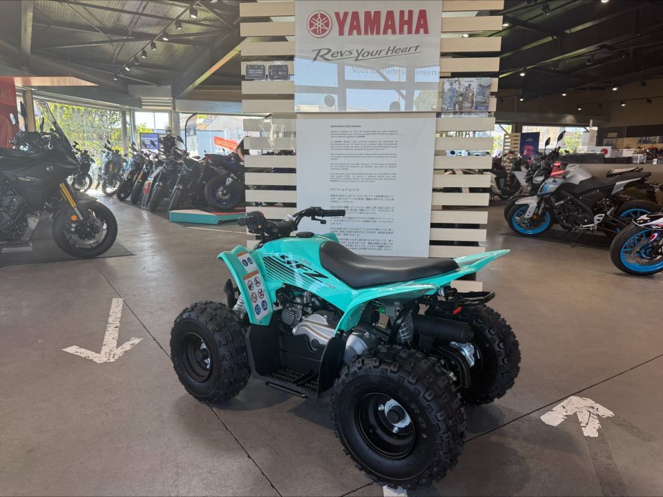 YAMAHA YFM 50 RAPTOR 4