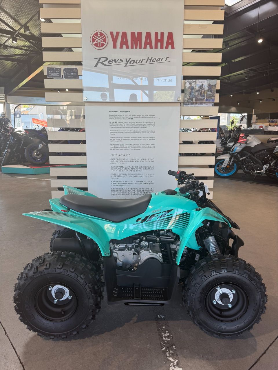 YAMAHA YFM 50 RAPTOR 4