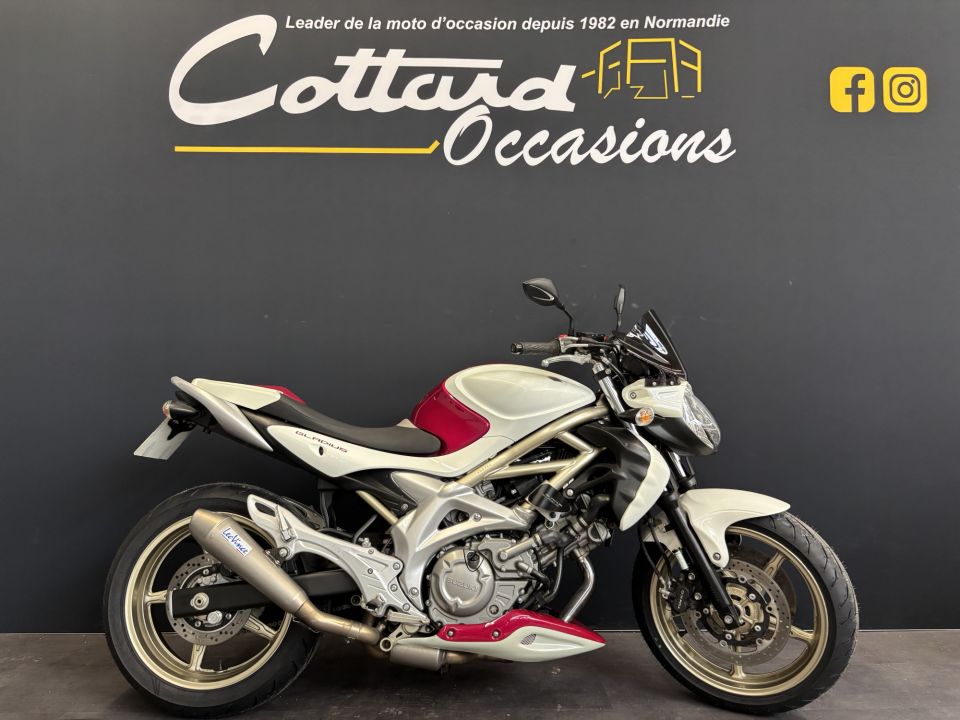 SUZUKI GLADIUS 650 4