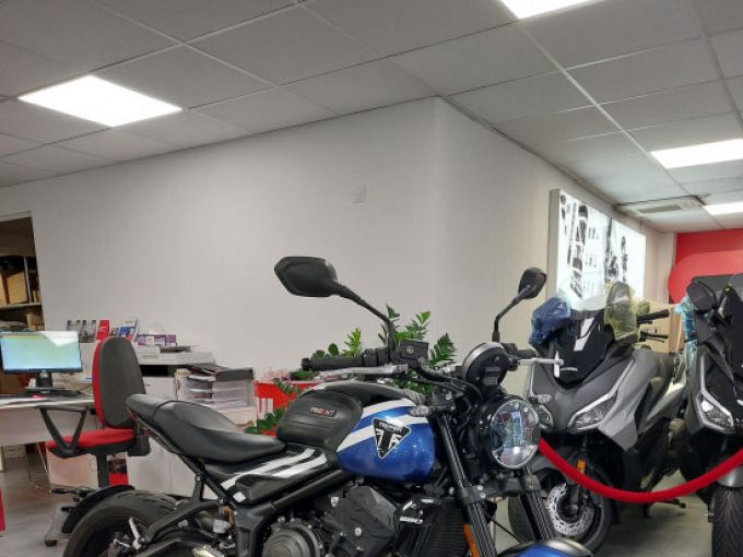 TRIUMPH TRIDENT 660 4