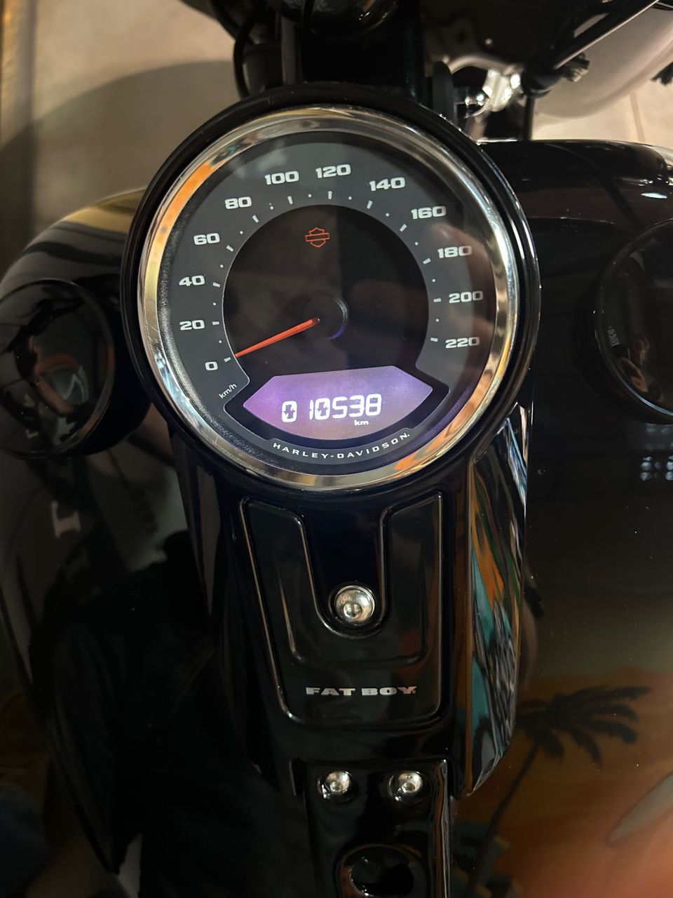 HARLEY-DAVIDSON SOFTAIL FAT BOY 1745 4