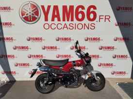 HONDA DAX ST - 2022