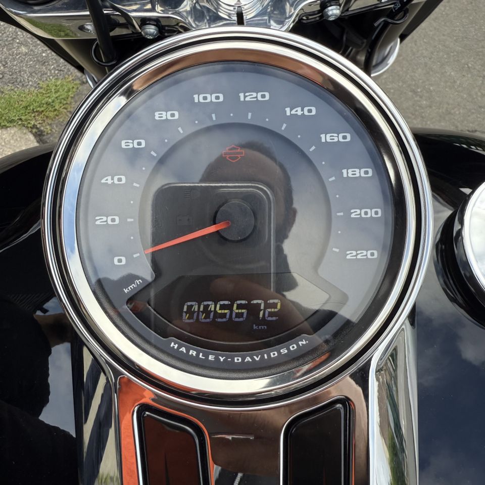 HARLEY-DAVIDSON SOFTAIL SPORT GLIDE 1745 4