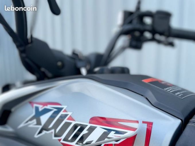 LONCIN XWOLF 300 4