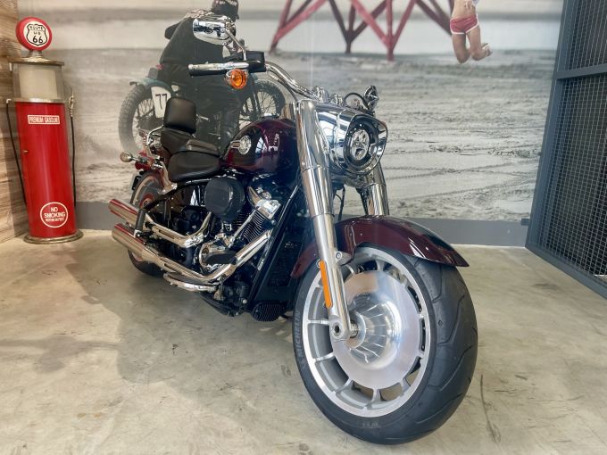 HARLEY-DAVIDSON SOFTAIL FAT BOY 1868 4
