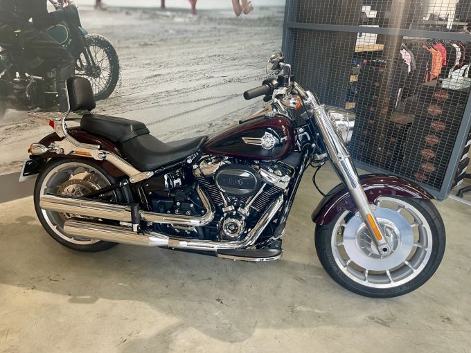 HARLEY-DAVIDSON SOFTAIL FAT BOY 1868 4