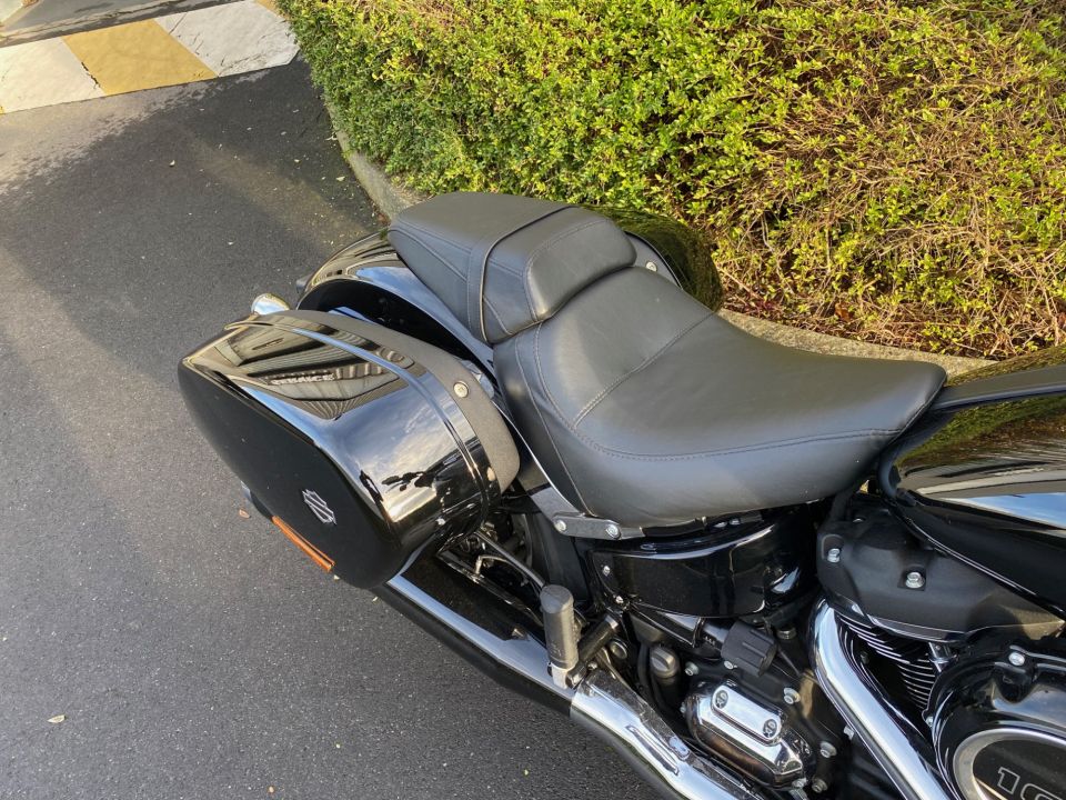 HARLEY-DAVIDSON SOFTAIL SPORT GLIDE 1745 4