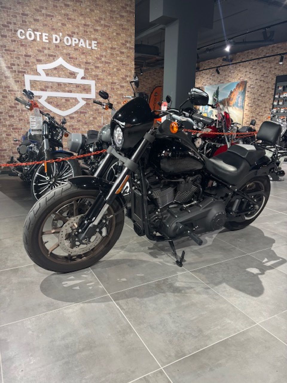 HARLEY-DAVIDSON SOFTAIL LOW RIDER 1868 S 4