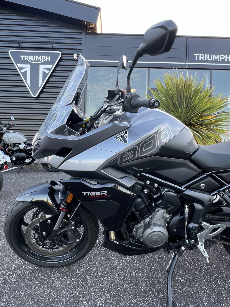 TRIUMPH Tiger Sport 800 4