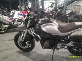 QJ MOTOR SRV 550 - 2024