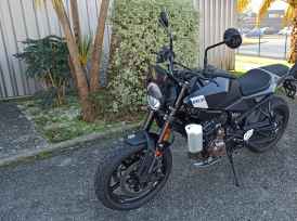 HUSQVARNA SVARTPILEN 801 - 2024