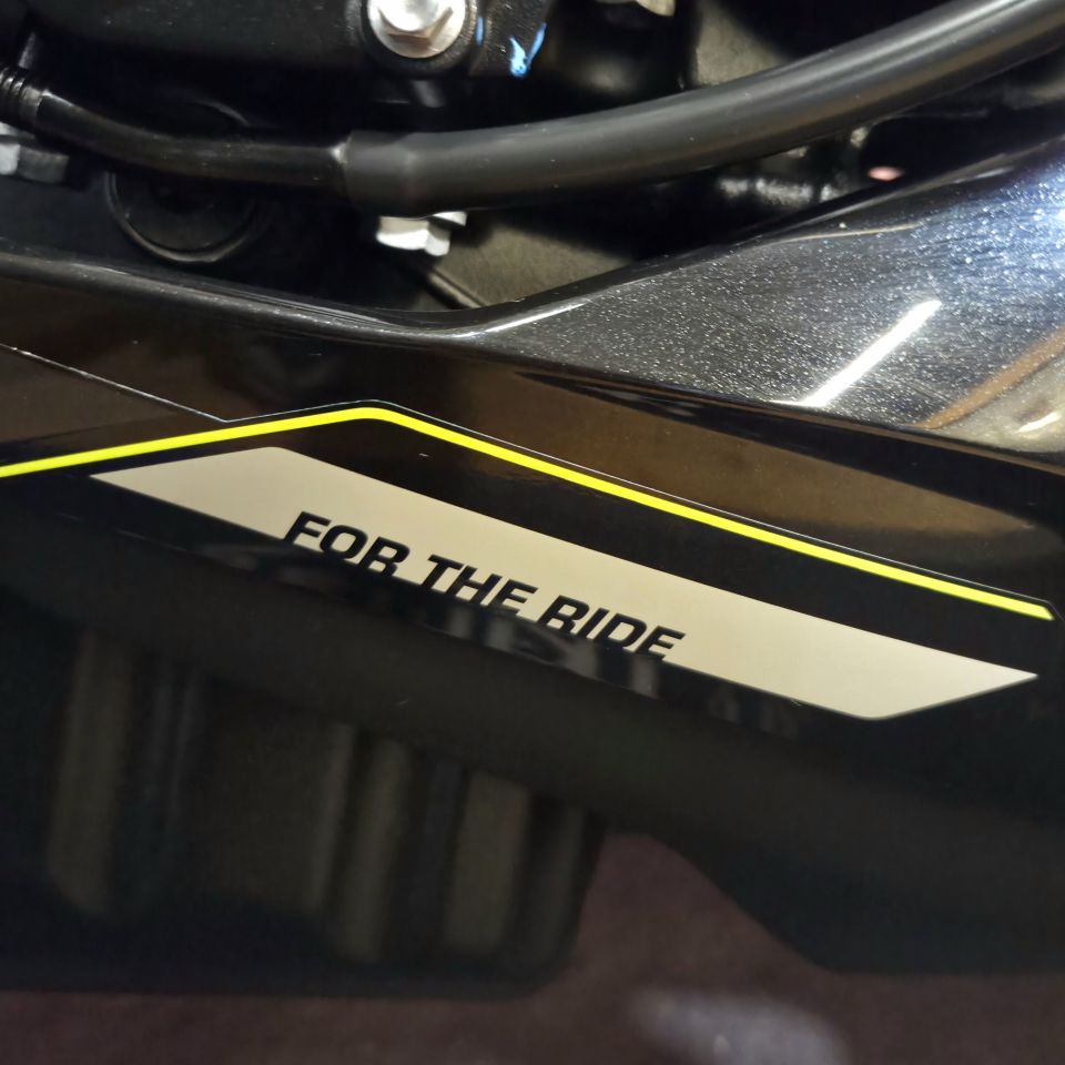 TRIUMPH STREET TRIPLE 765 RS 4