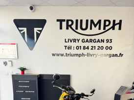TRIUMPH TRIDENT 660 - 2023