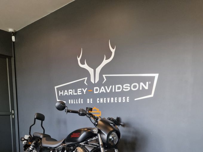 HARLEY-DAVIDSON SPORTSTER NIGHTSTER 975 SPECIAL 4
