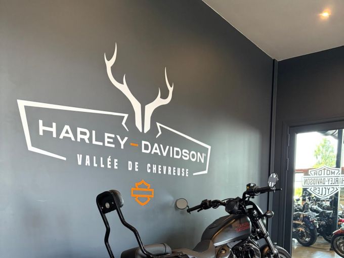 HARLEY-DAVIDSON SPORTSTER NIGHTSTER 975 SPECIAL 4