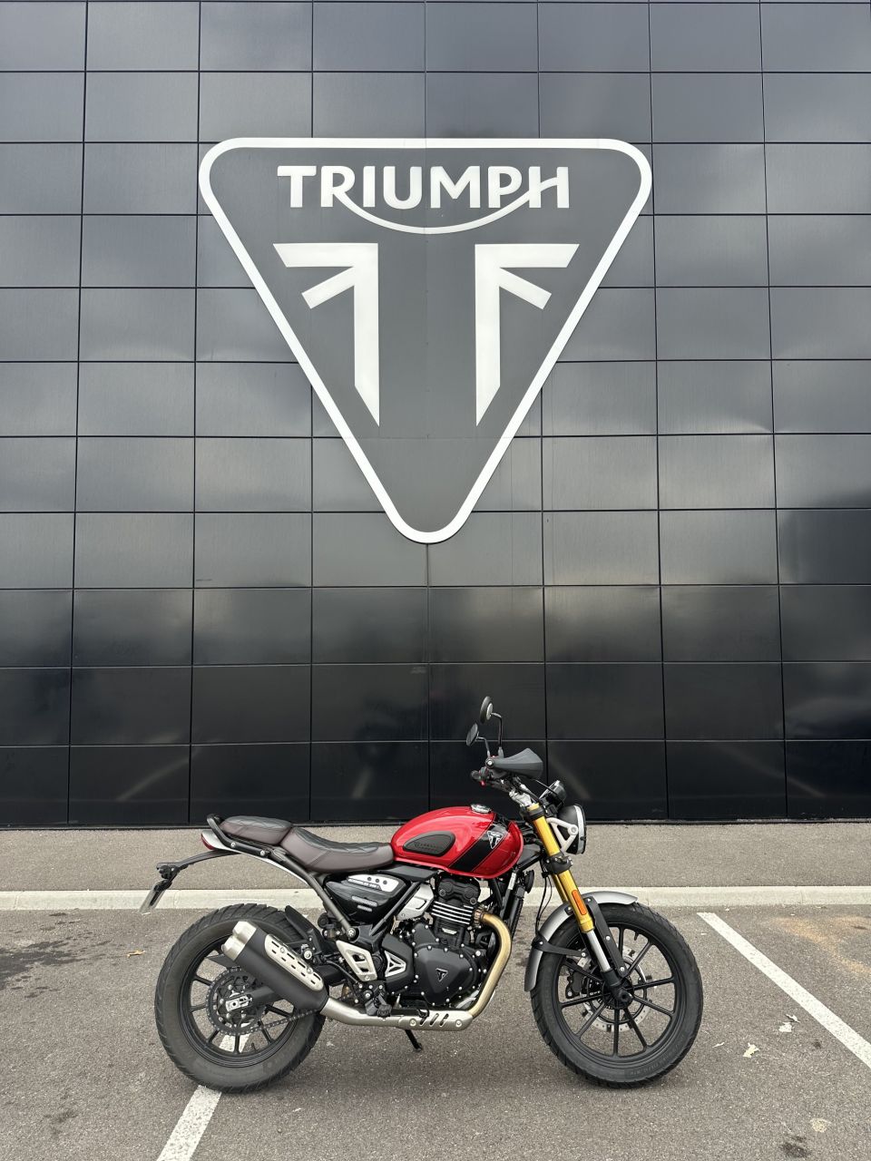 TRIUMPH Scrambler 400 X 4