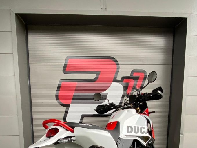 DUCATI DESERT X RALLY 4