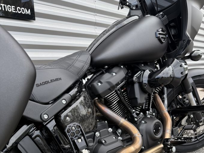 HARLEY-DAVIDSON SOFTAIL LOW RIDER 1923 ST 4
