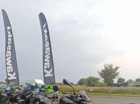 KAWASAKI Z 900 - 2023