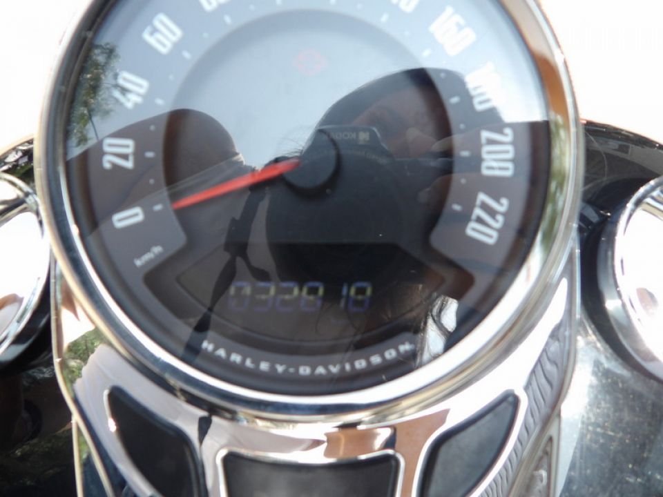 HARLEY-DAVIDSON SOFTAIL DELUXE 1745 4