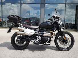TRIUMPH SCRAMBLER 1200 - 2024