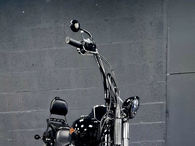 HARLEY-DAVIDSON SOFTAIL SPRINGER 1584 CROSS BONES 4