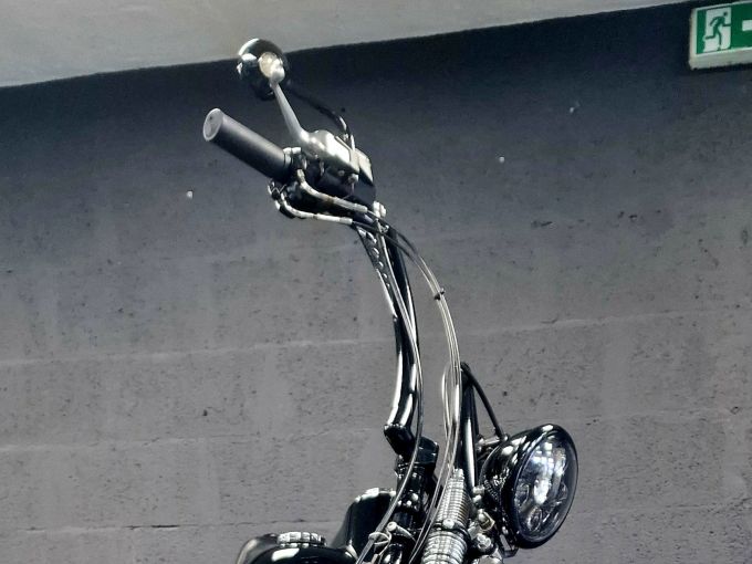 HARLEY-DAVIDSON SOFTAIL SPRINGER 1584 CROSS BONES 4